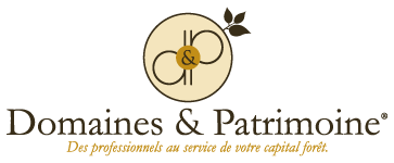 Logo Domaines et Patrimoine